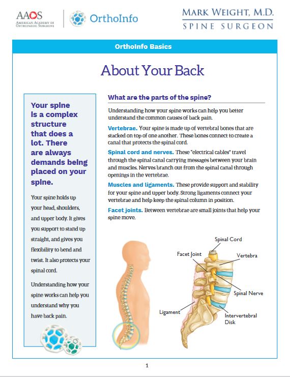 About Your Back PDF link for spine surgeon Mark Weight, MD in Idaho Falls.